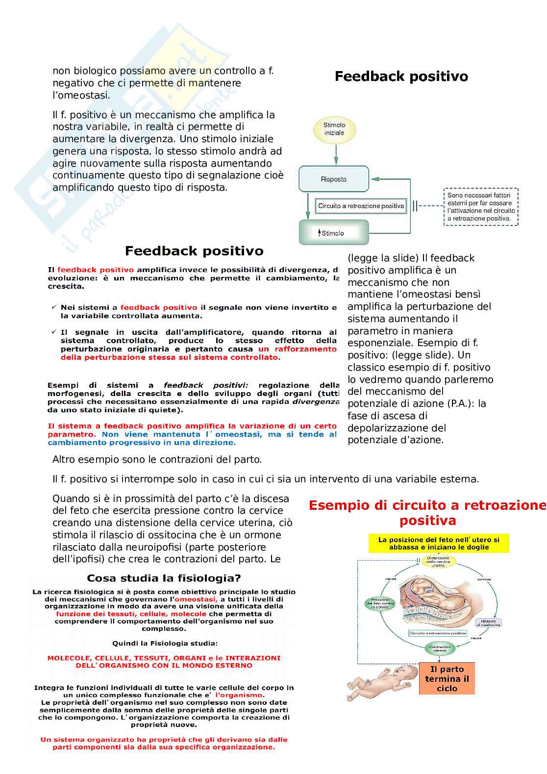Fisiologia umana Pag. 11