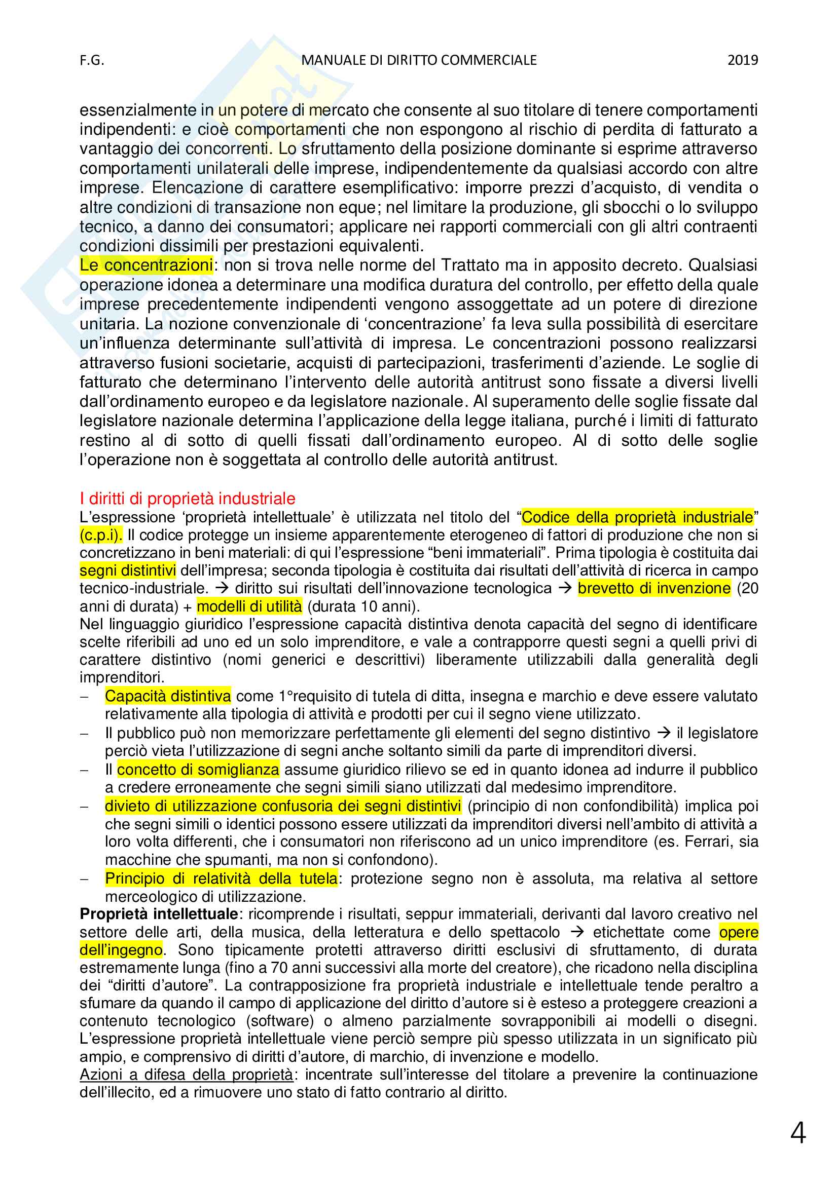 Appunti completi di Diritto Commerciale Pag. 11