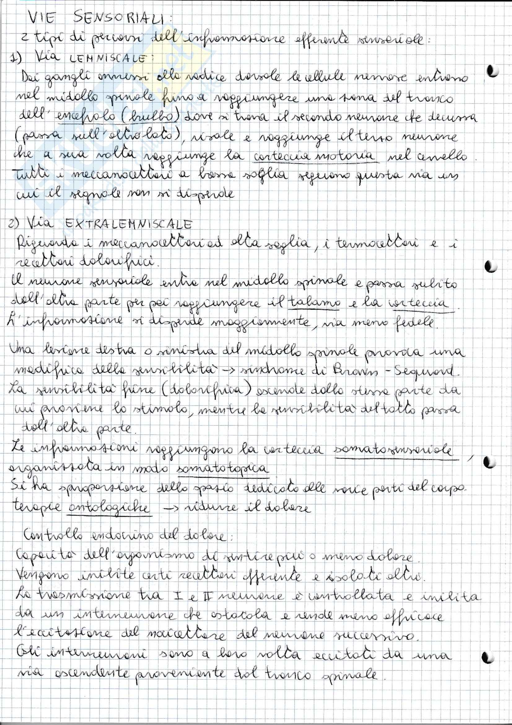 Fisiologia - Appunti Pag. 16