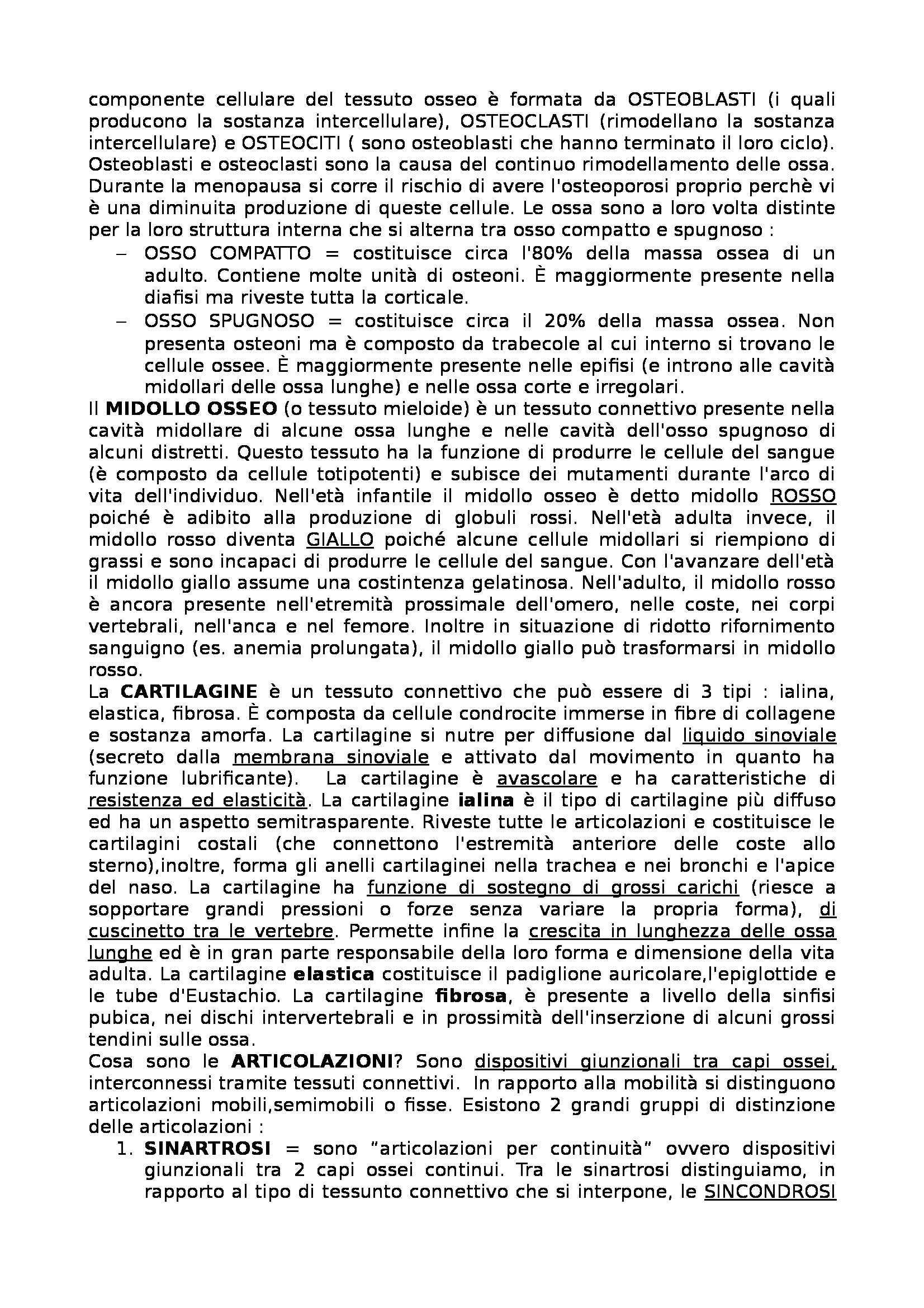 Anatomia - Appunti Pag. 2
