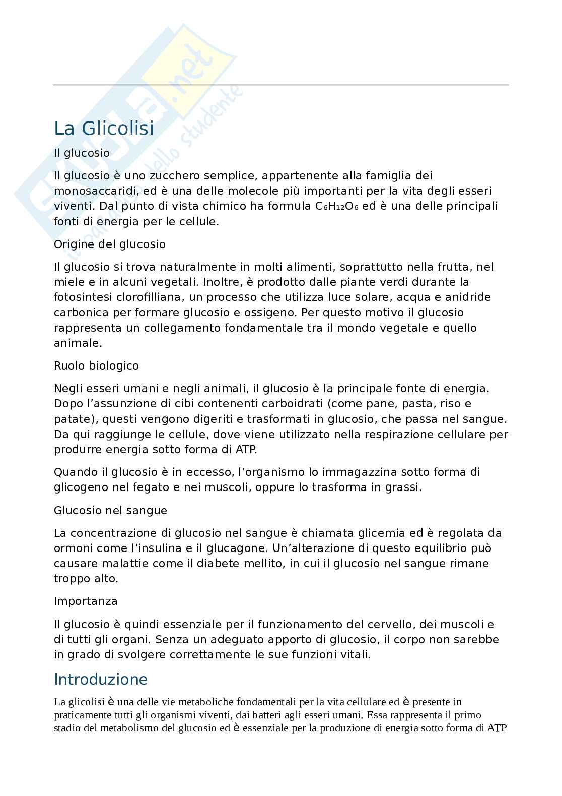 Glicolisi  Pag. 1