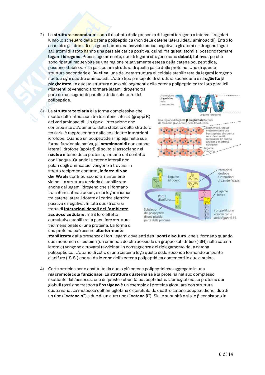 Biologia animale Pag. 11