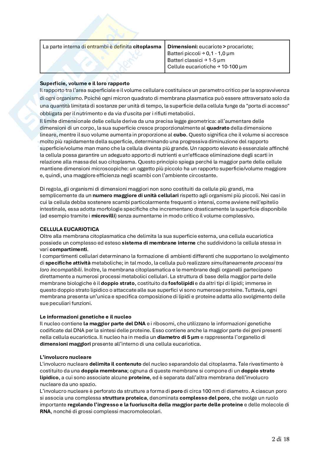 Biologia animale Pag. 16