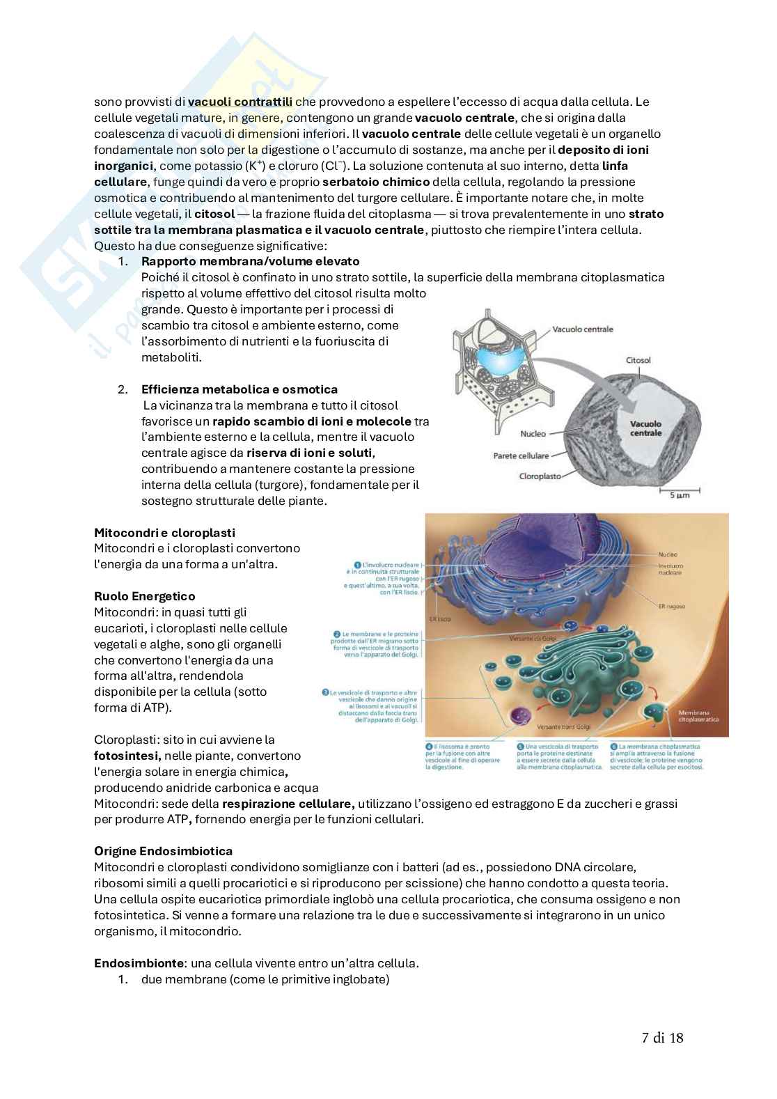 Biologia animale Pag. 21