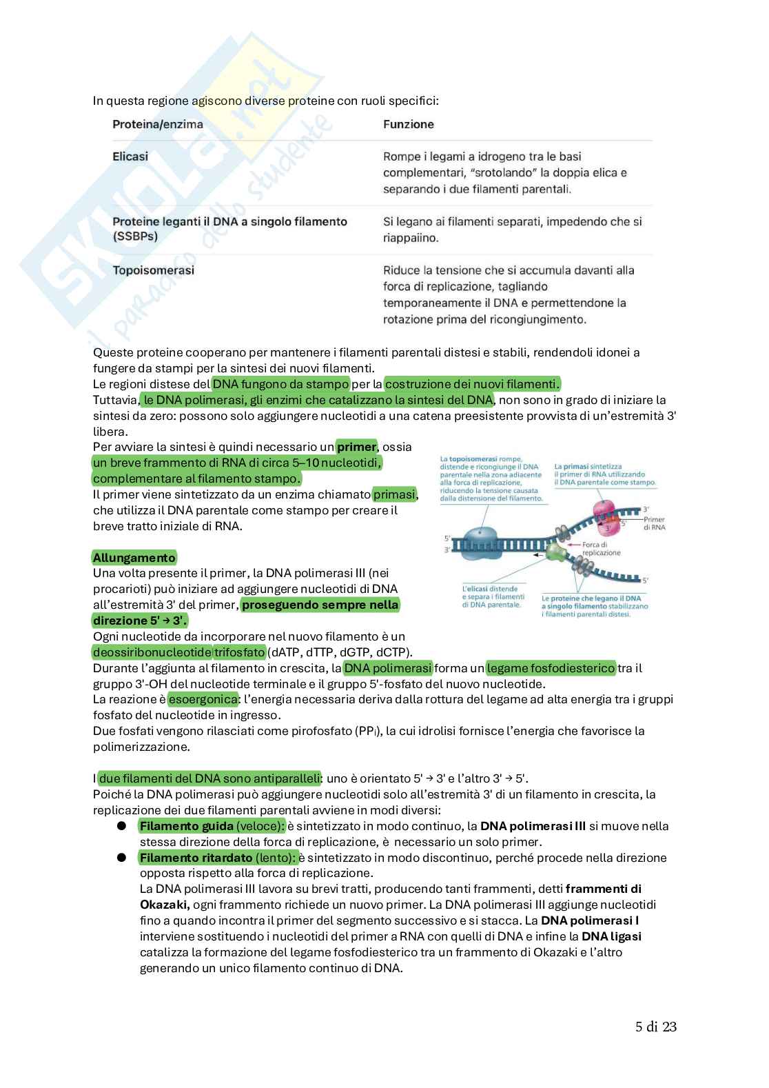 Biologia animale Pag. 36