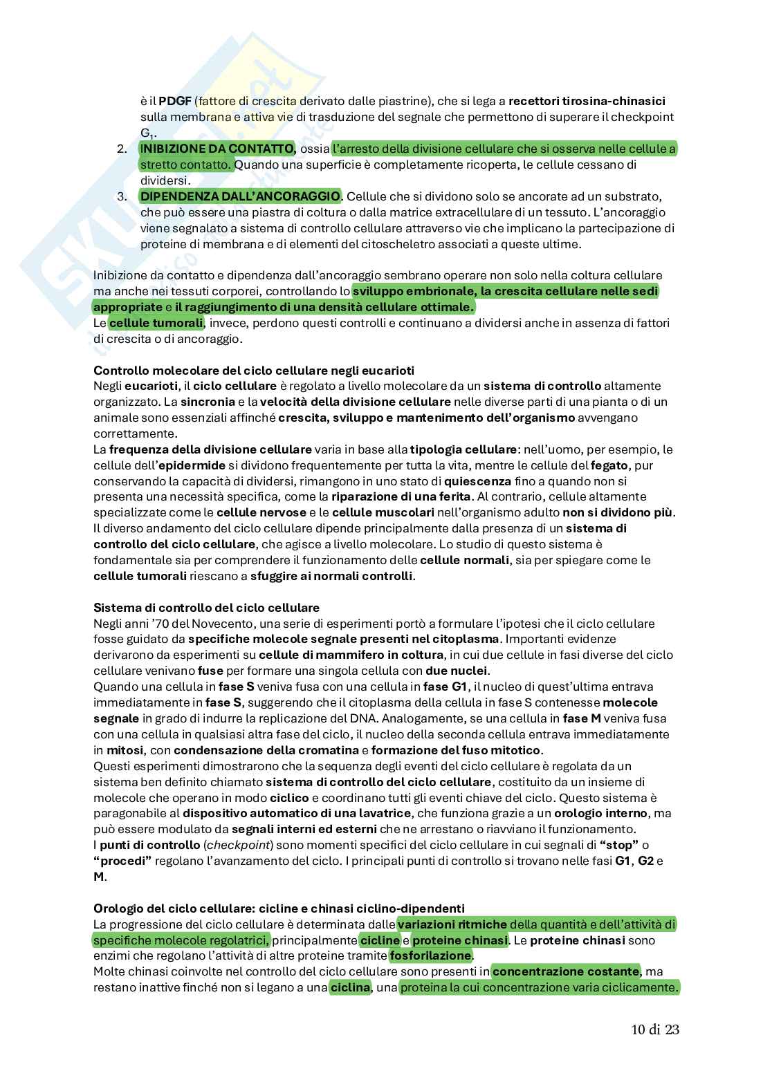 Biologia animale Pag. 41