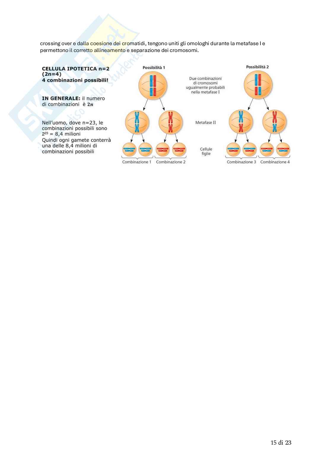 Biologia animale Pag. 46