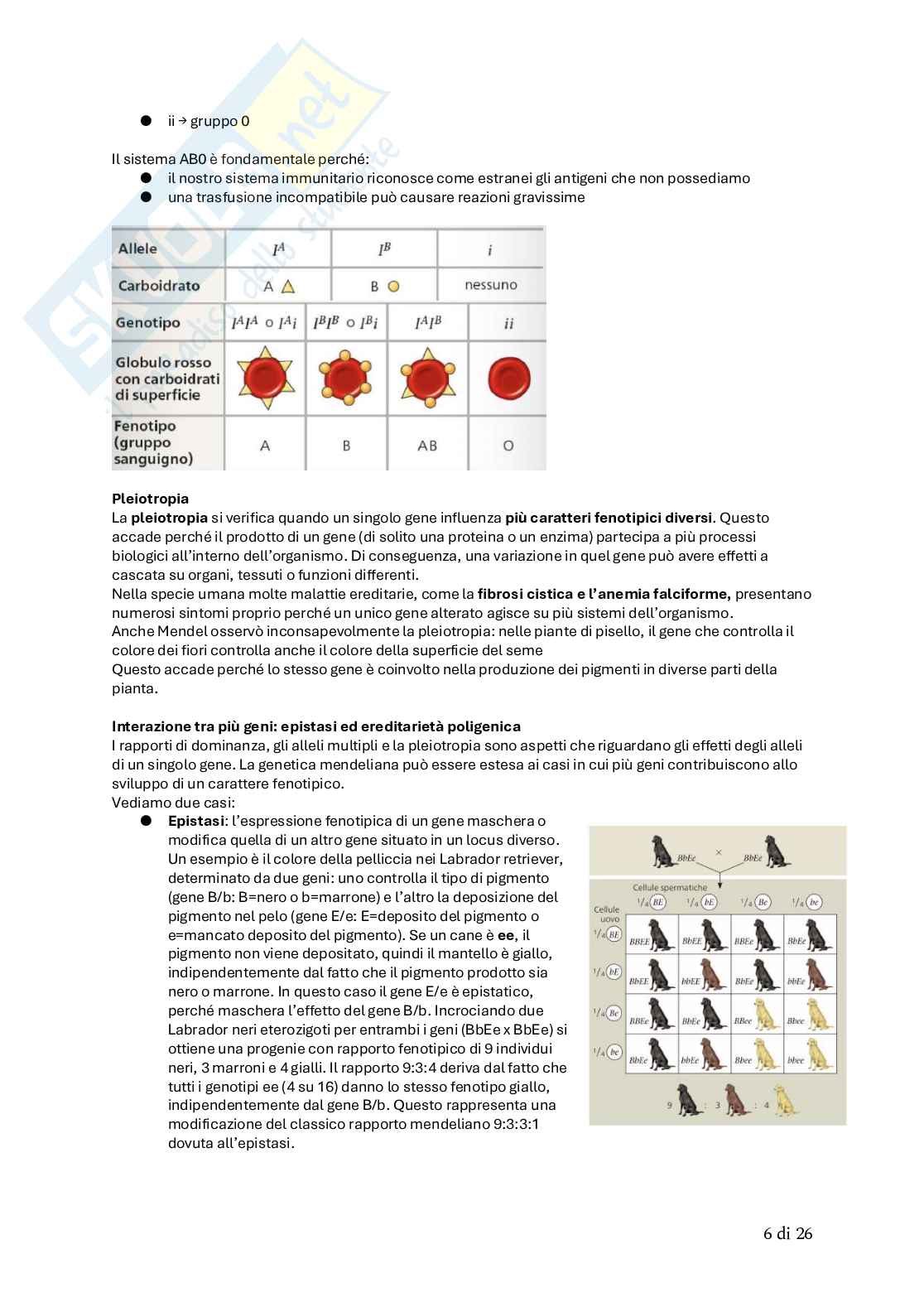 Biologia animale Pag. 56