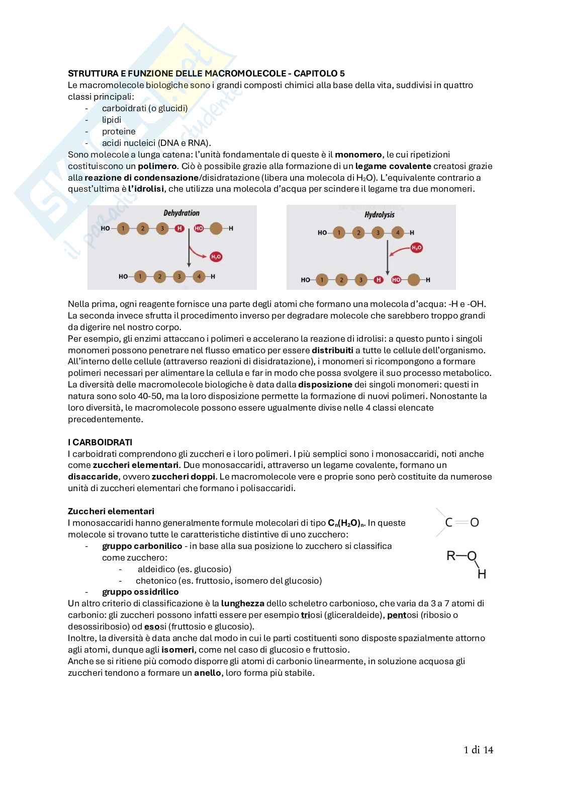 Biologia animale Pag. 6