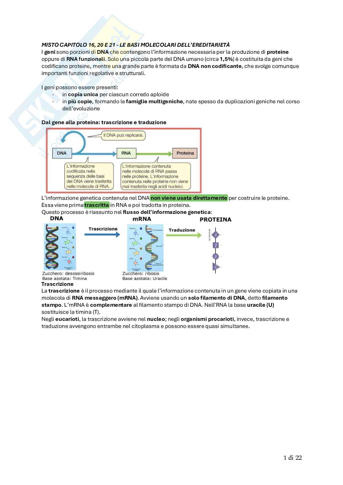 Biologia animale Pag. 66