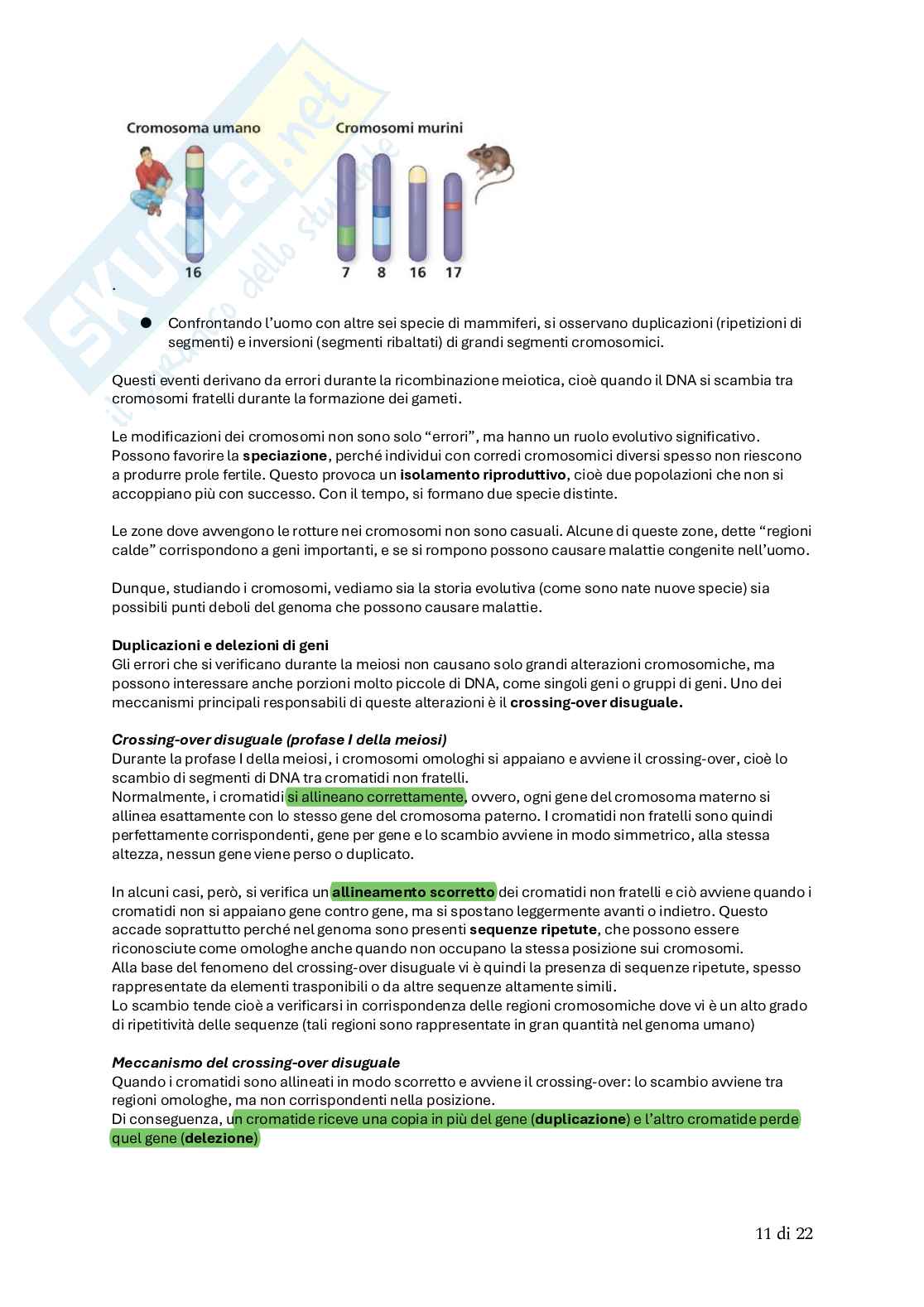 Biologia animale Pag. 76