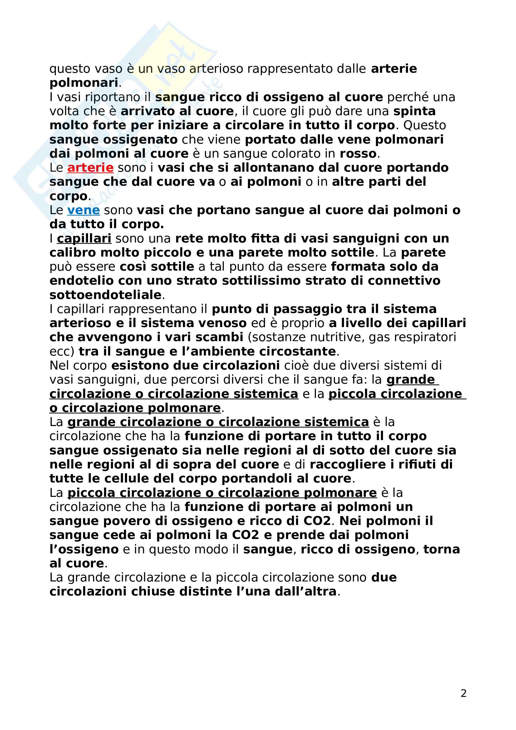 Apparato cardiovascolare Pag. 2