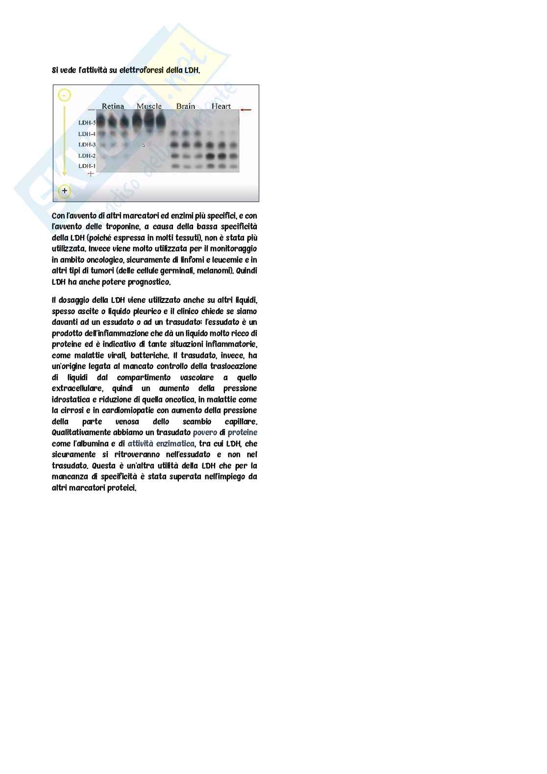 Biochimica clinica Pag. 46