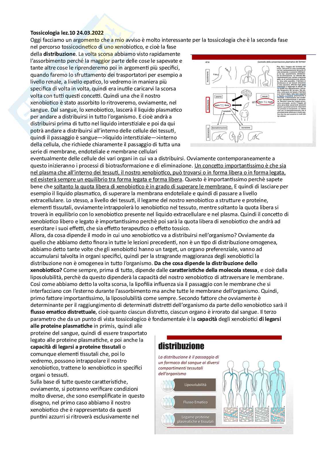 Tossicologia generale e del farmaco - parte 4 Pag. 1