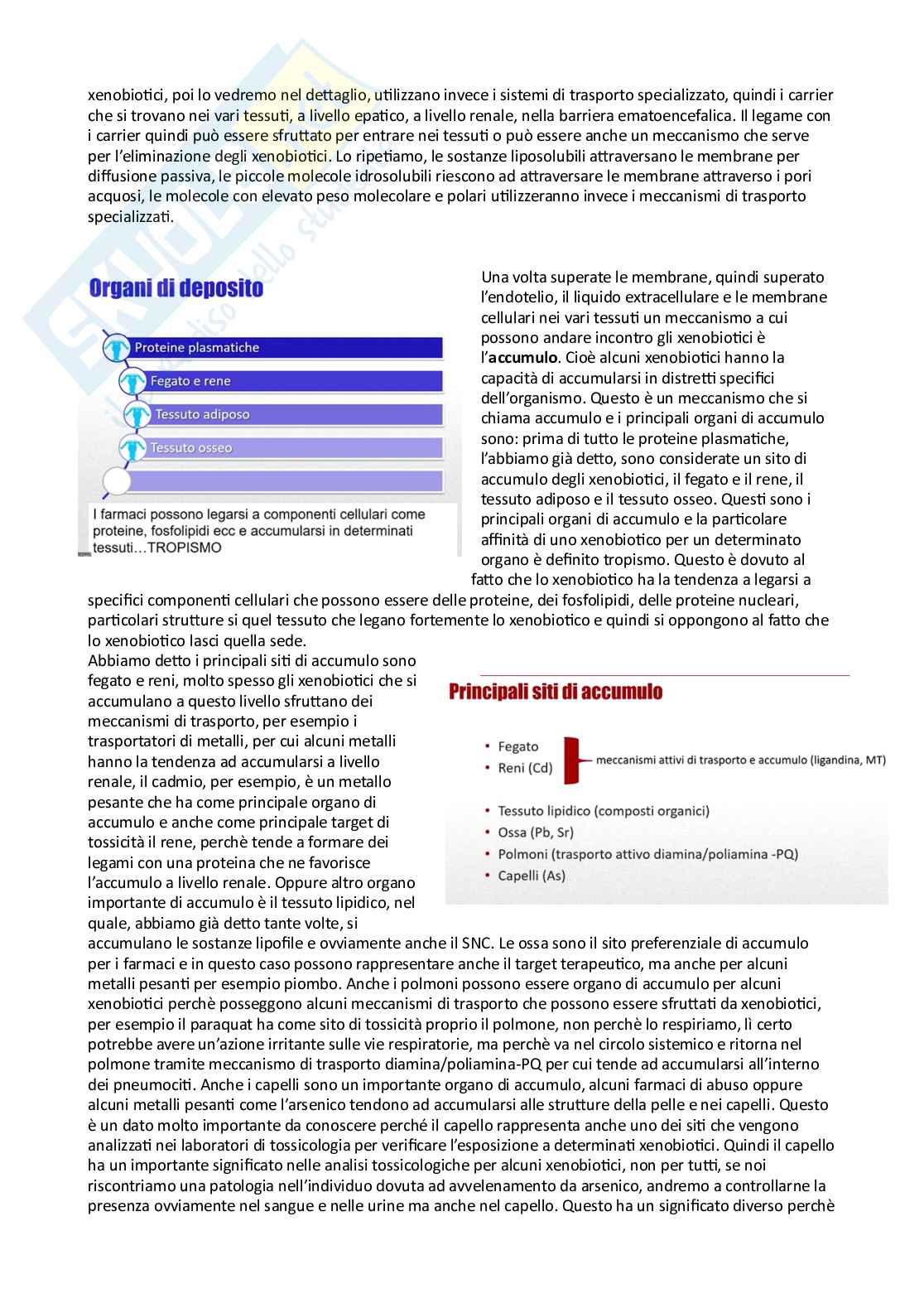 Tossicologia generale e del farmaco - parte 4 Pag. 11