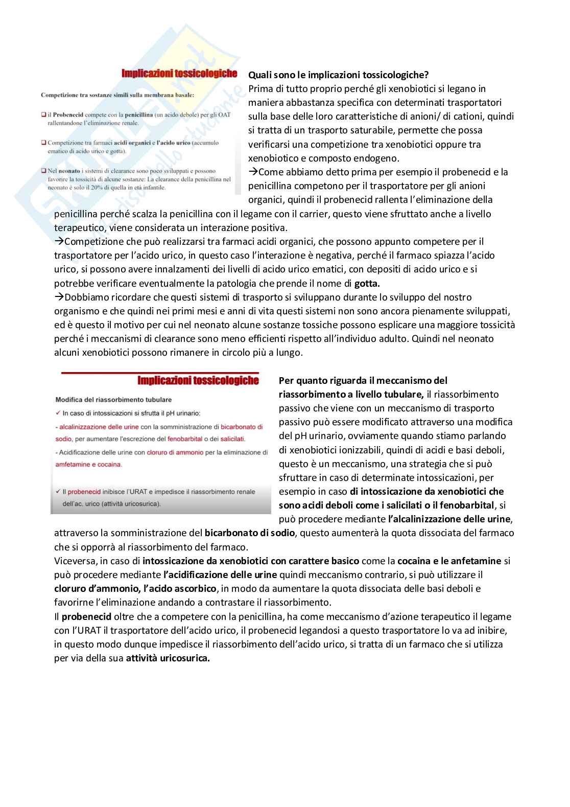 Tossicologia generale e del farmaco - parte 4 Pag. 21