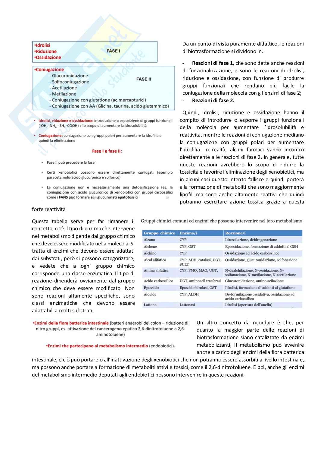 Tossicologia generale e del farmaco - parte 4 Pag. 36