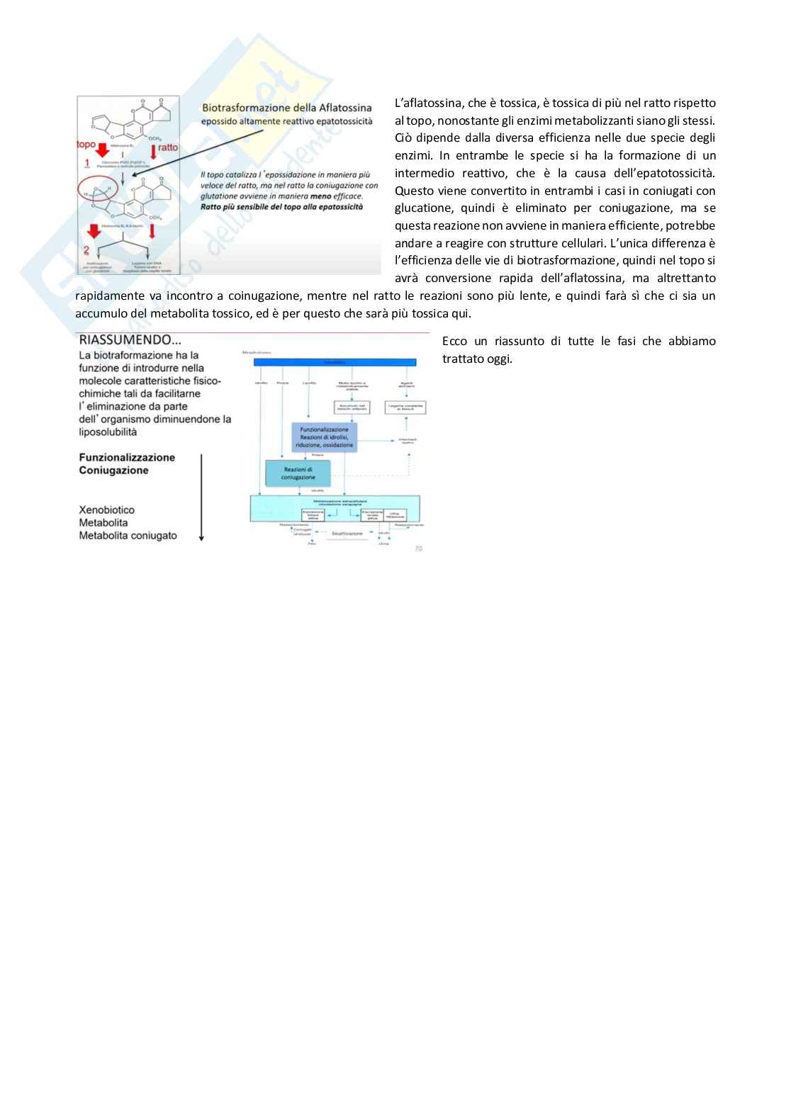 Tossicologia generale e del farmaco - parte 4 Pag. 41