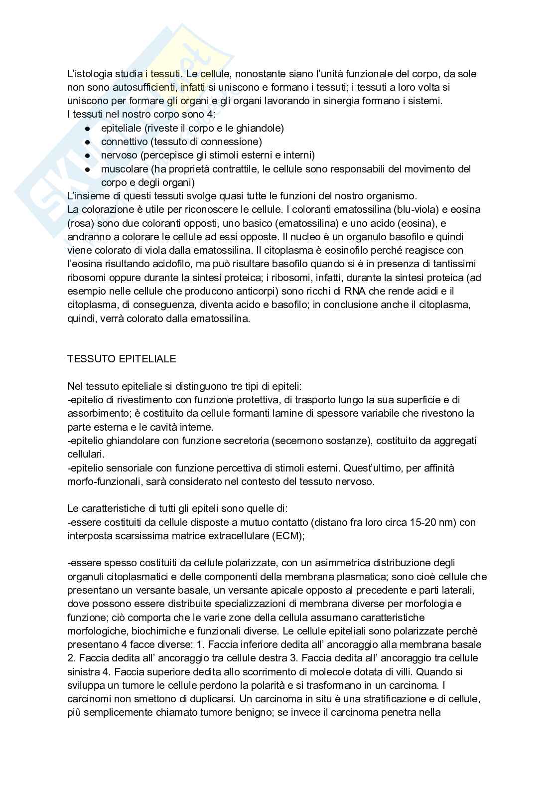 Appunti Anatomia, biologia e istologia Pag. 1