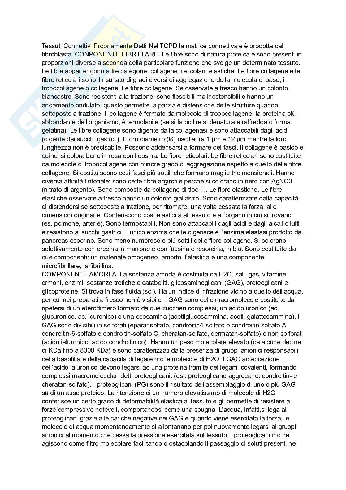 Appunti Anatomia, biologia e istologia Pag. 11