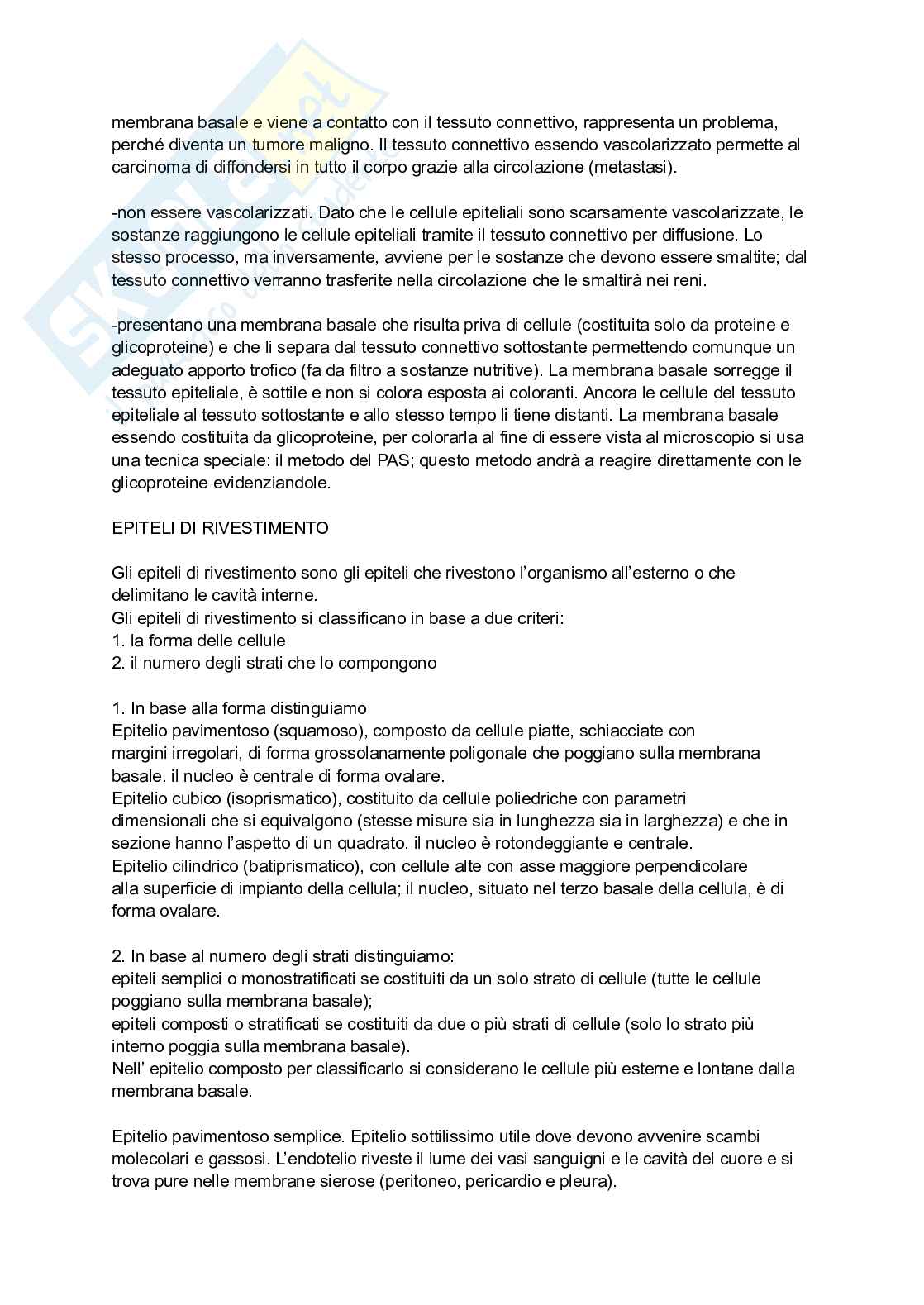 Appunti Anatomia, biologia e istologia Pag. 2