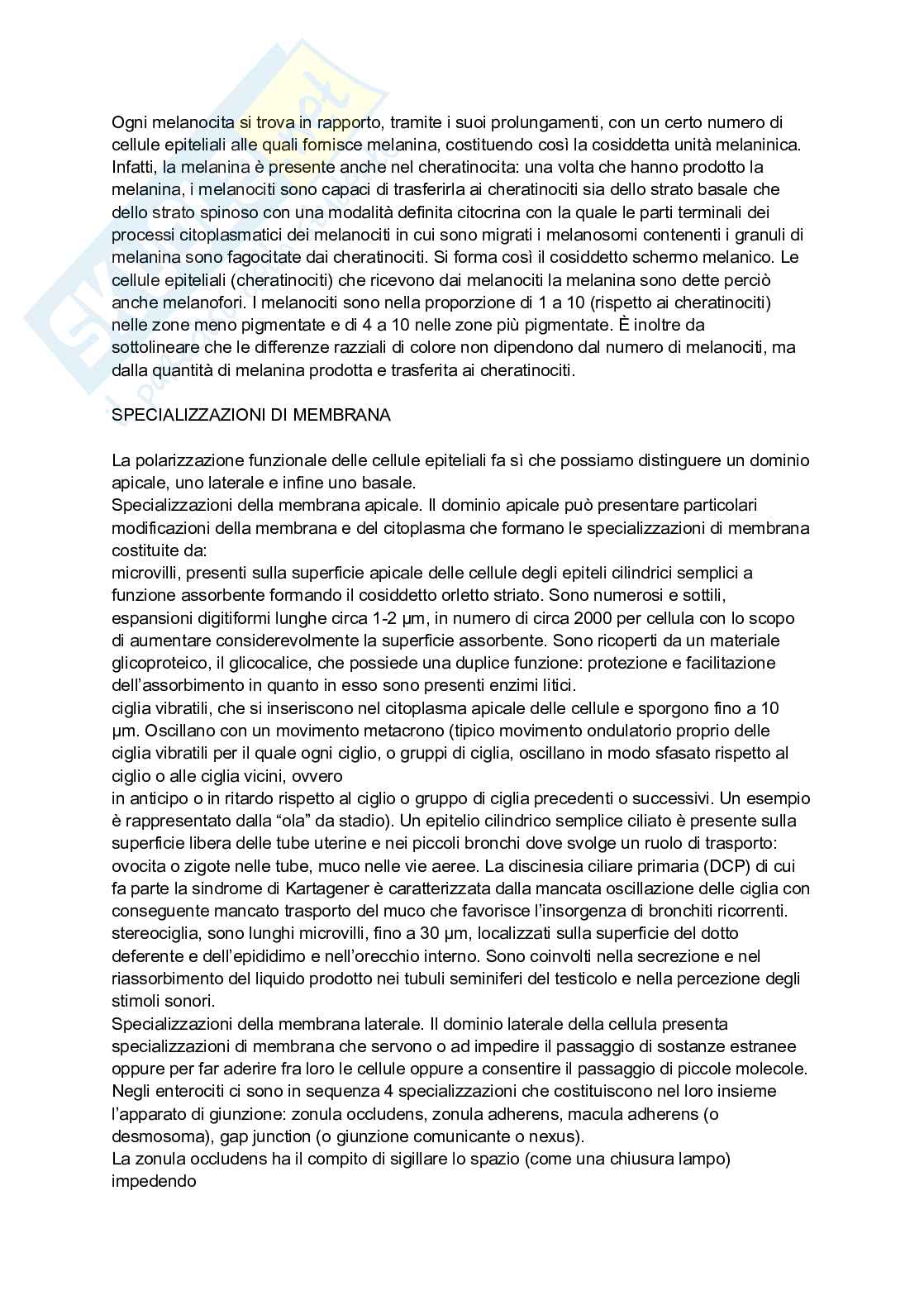 Appunti Anatomia, biologia e istologia Pag. 6