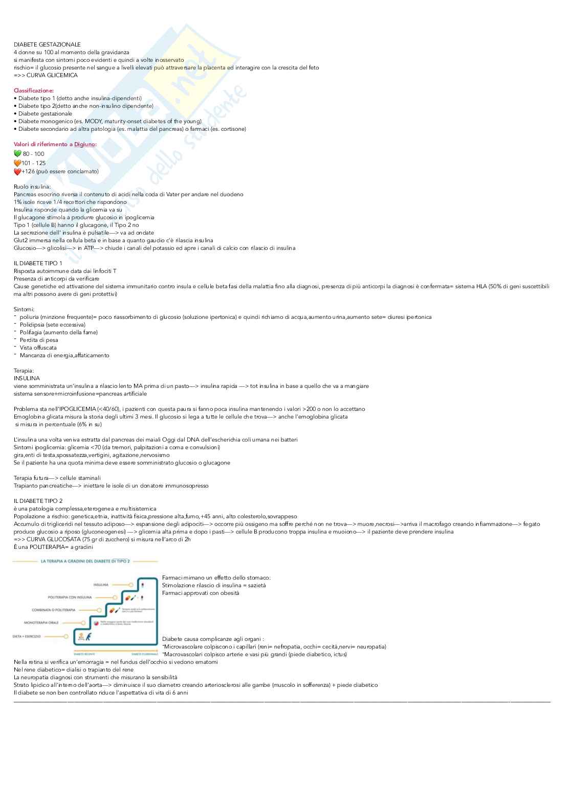 Fisiologia Pag. 26