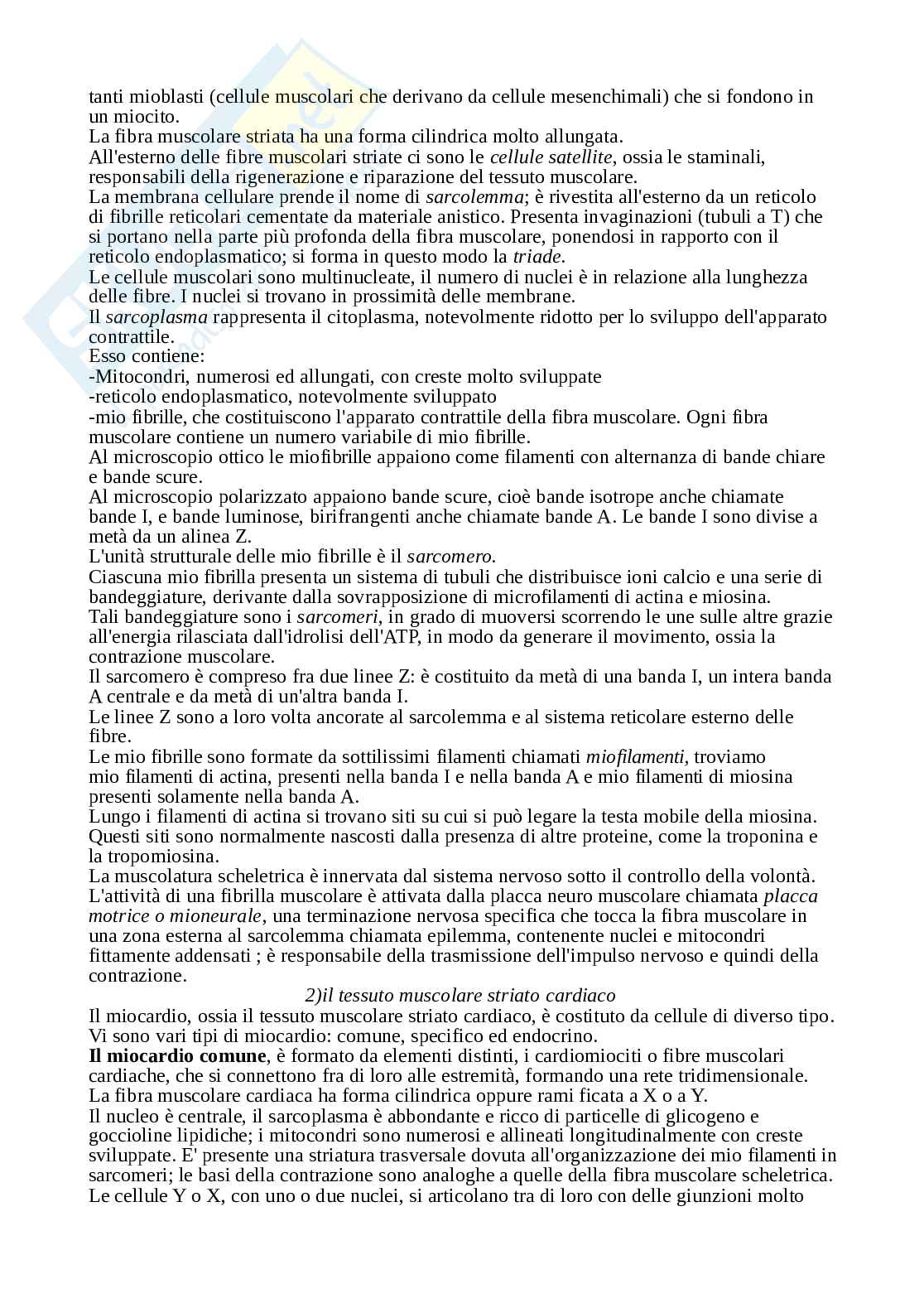 Anatomia umana Pag. 2