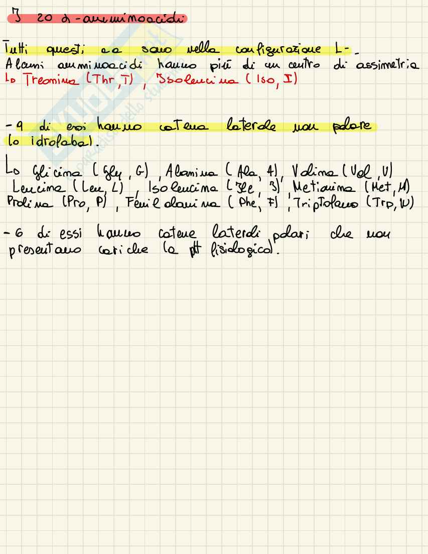 Metabolismo Pag. 16