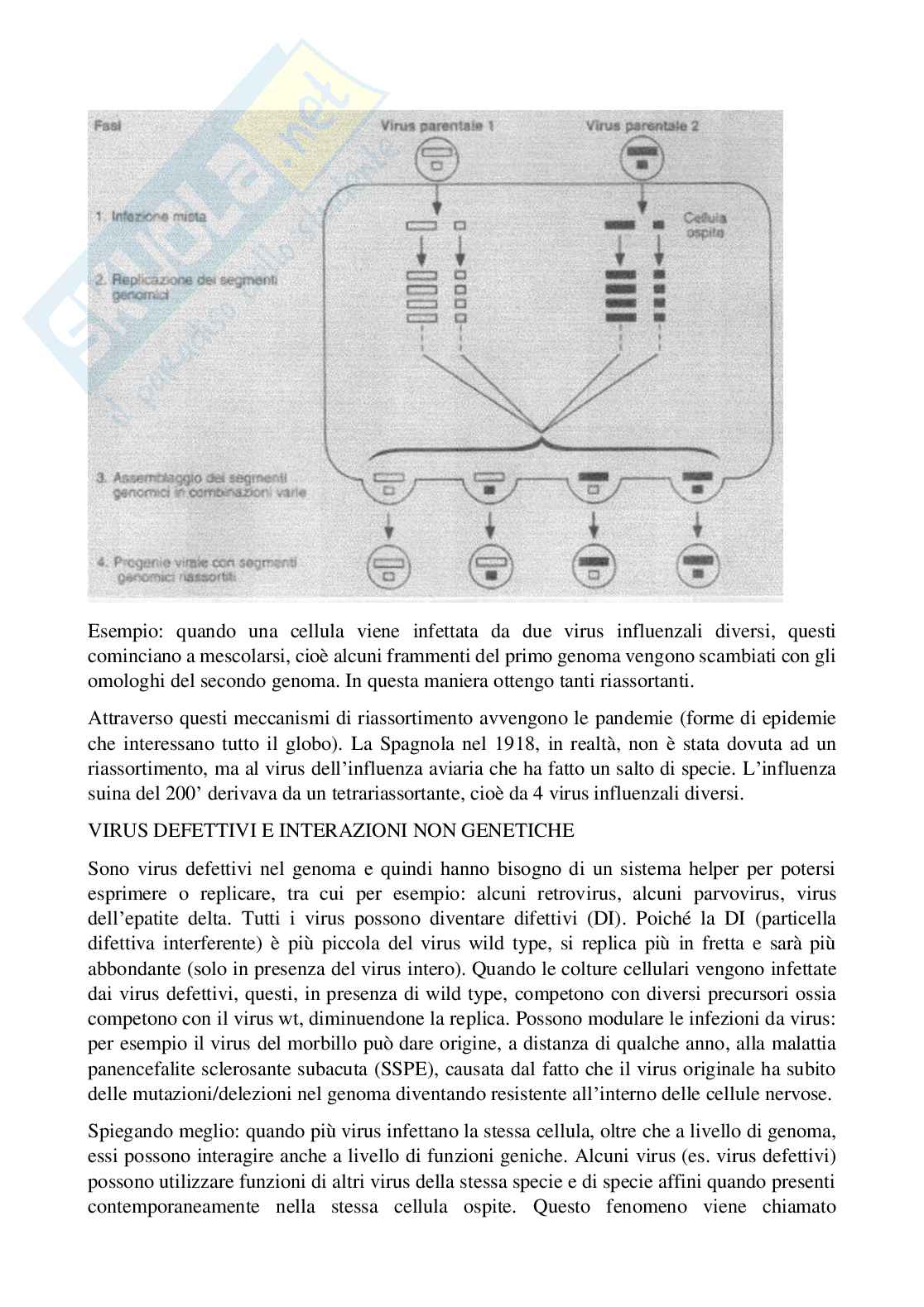Microbiologia: virologia Pag. 26