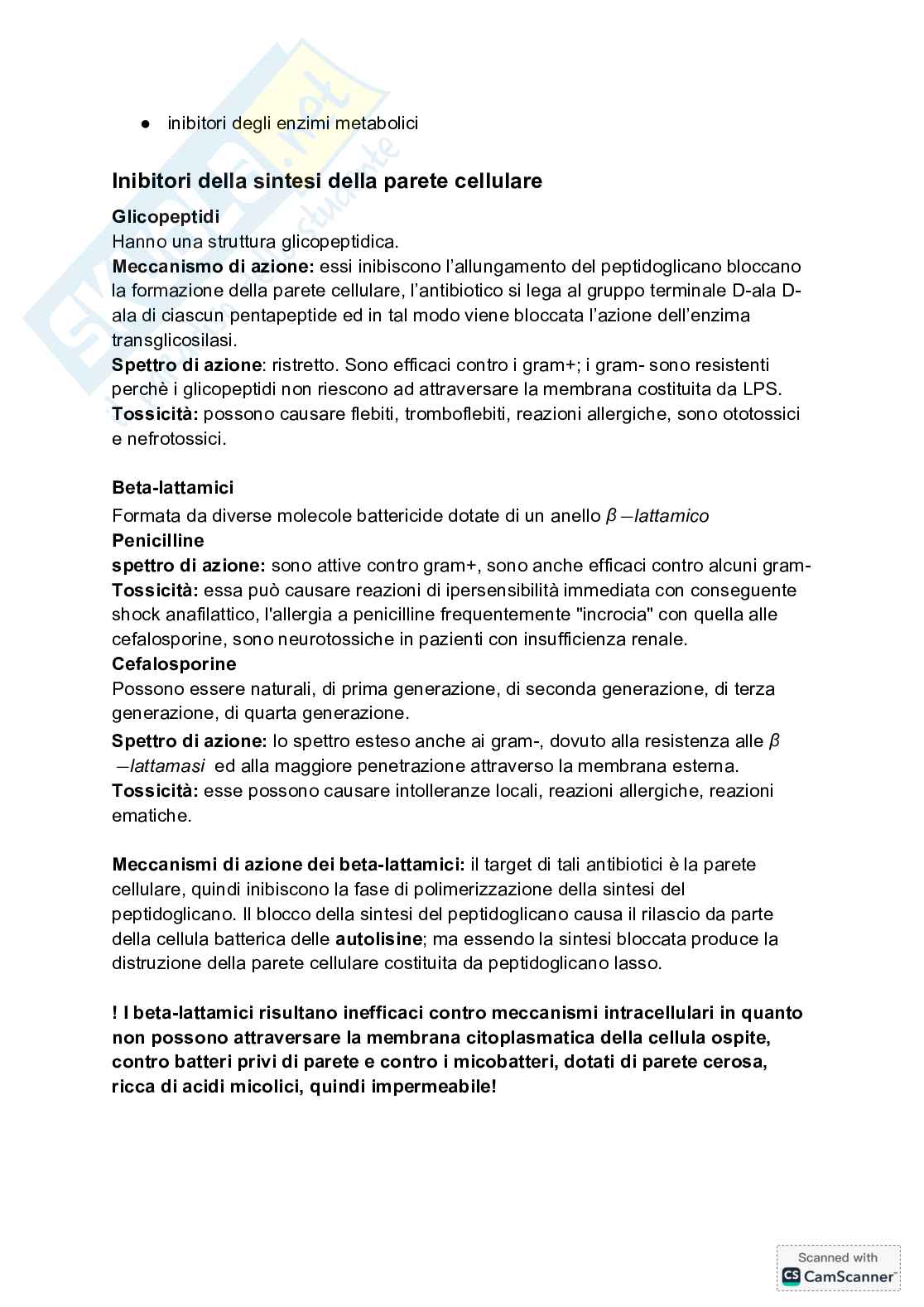 Microbiologia - introduzione batteriologia Pag. 11