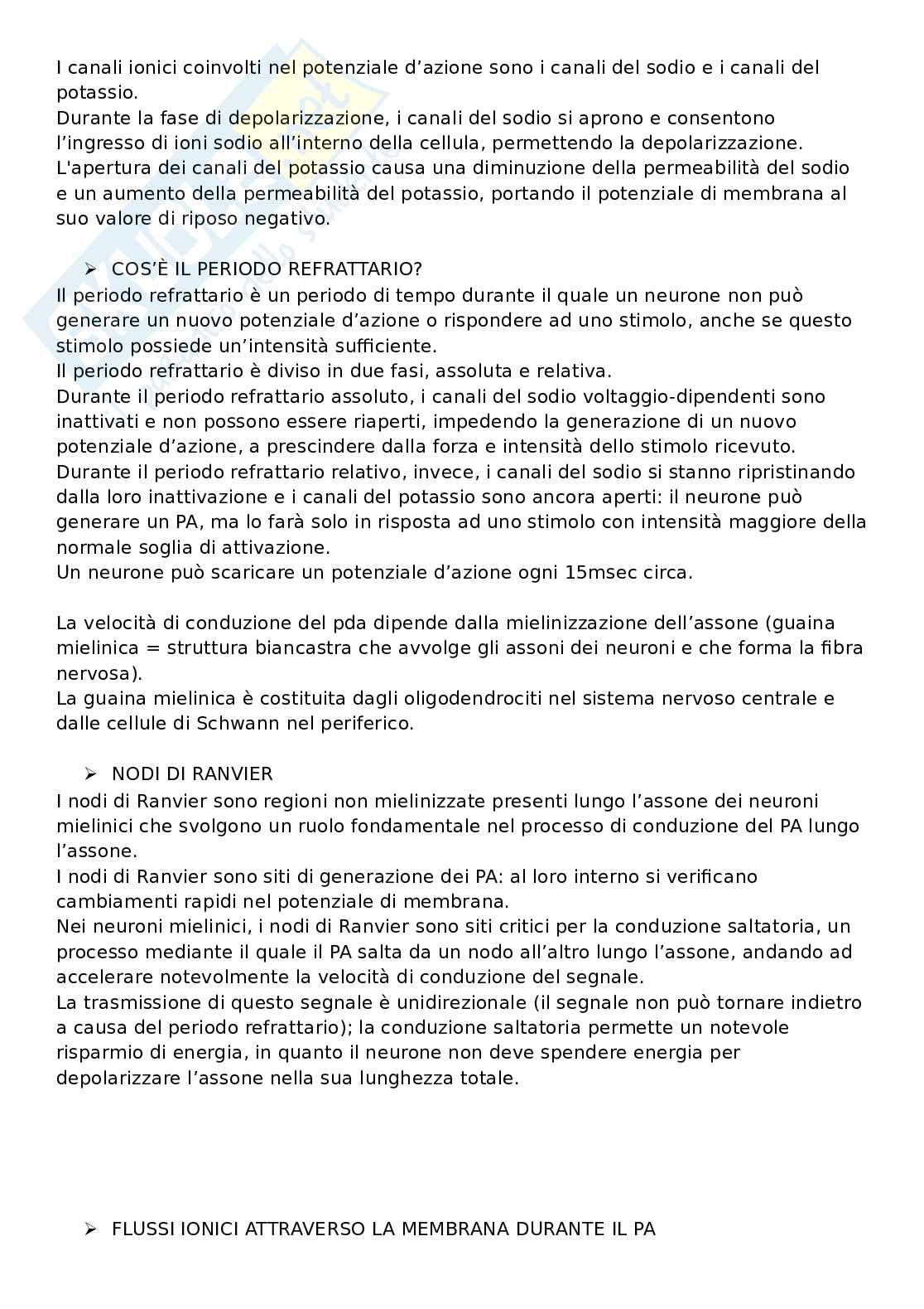 Domande aperte con risposte che escono sempre all'esame di Fisiologia umana Pag. 16