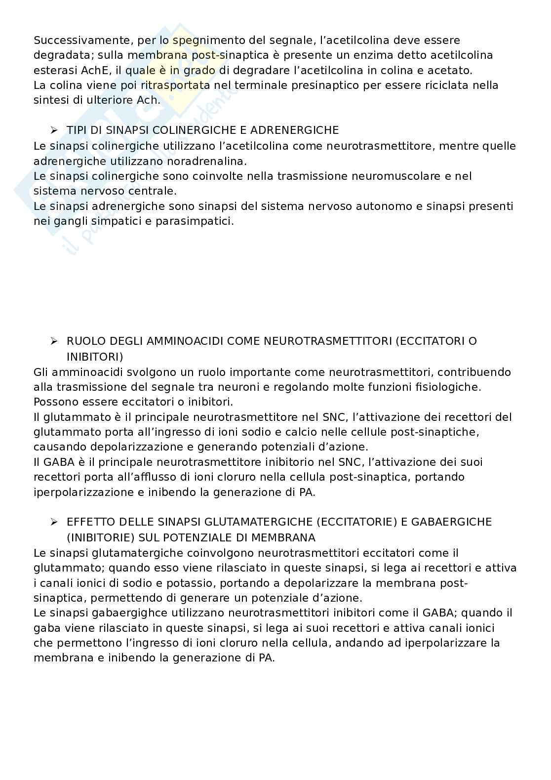Domande aperte con risposte che escono sempre all'esame di Fisiologia umana Pag. 21