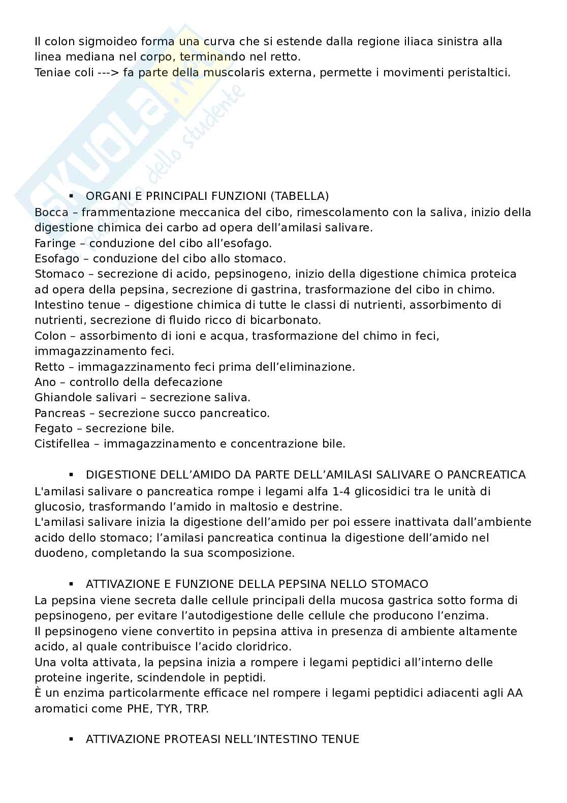 Domande aperte con risposte che escono sempre all'esame di Fisiologia umana Pag. 66