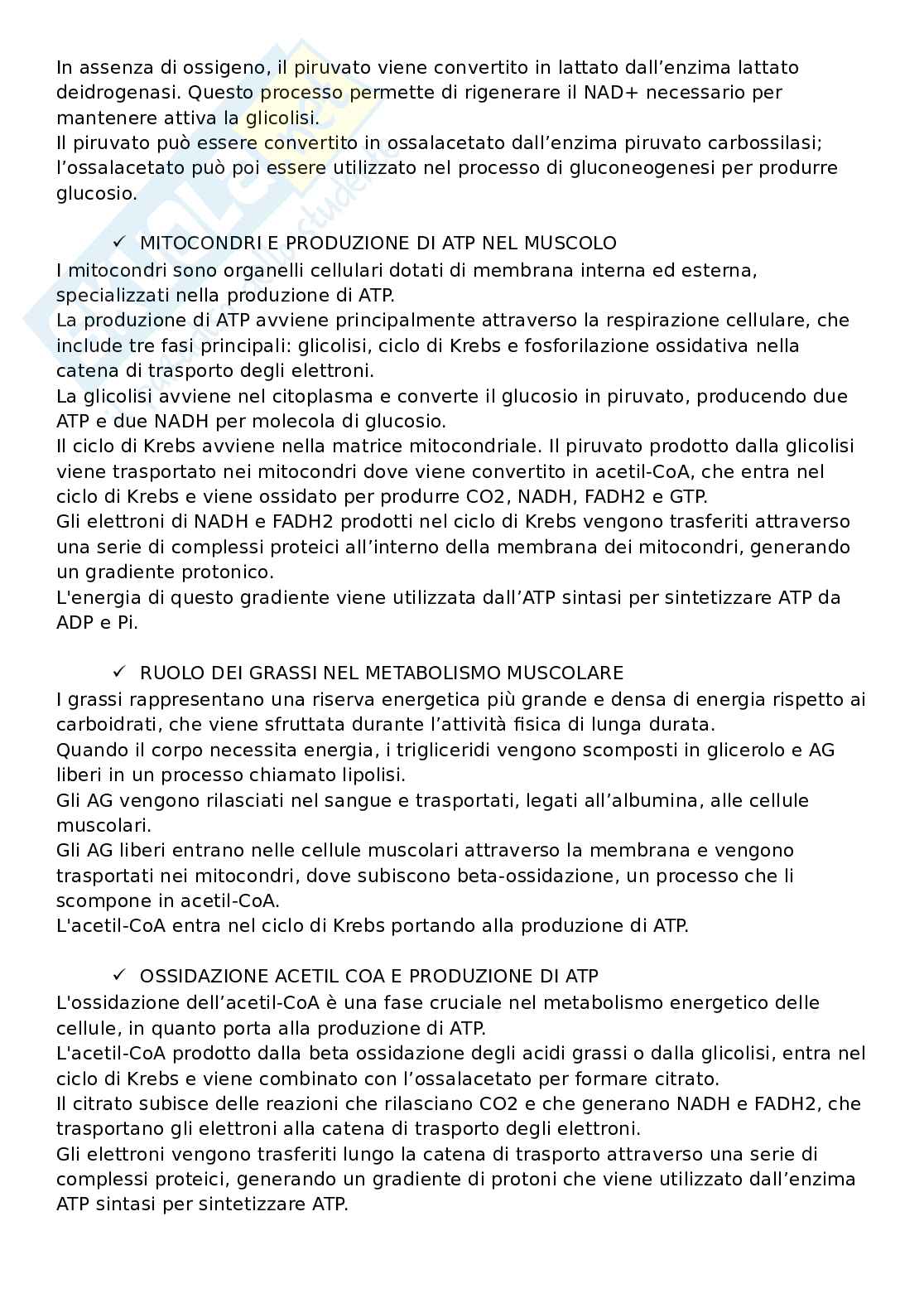 Domande aperte con risposte che escono sempre all'esame di Fisiologia umana Pag. 76