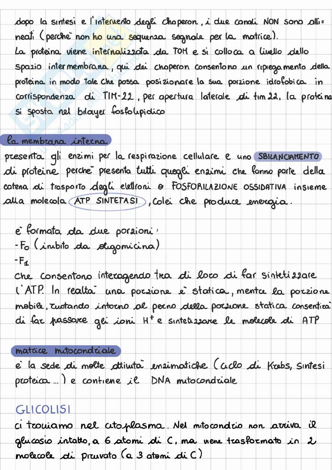Riassunto esame Citologia, Prof. Carata Elisabetta, libro consigliato Cellula e tessuti, Colombo e olmo Pag. 36