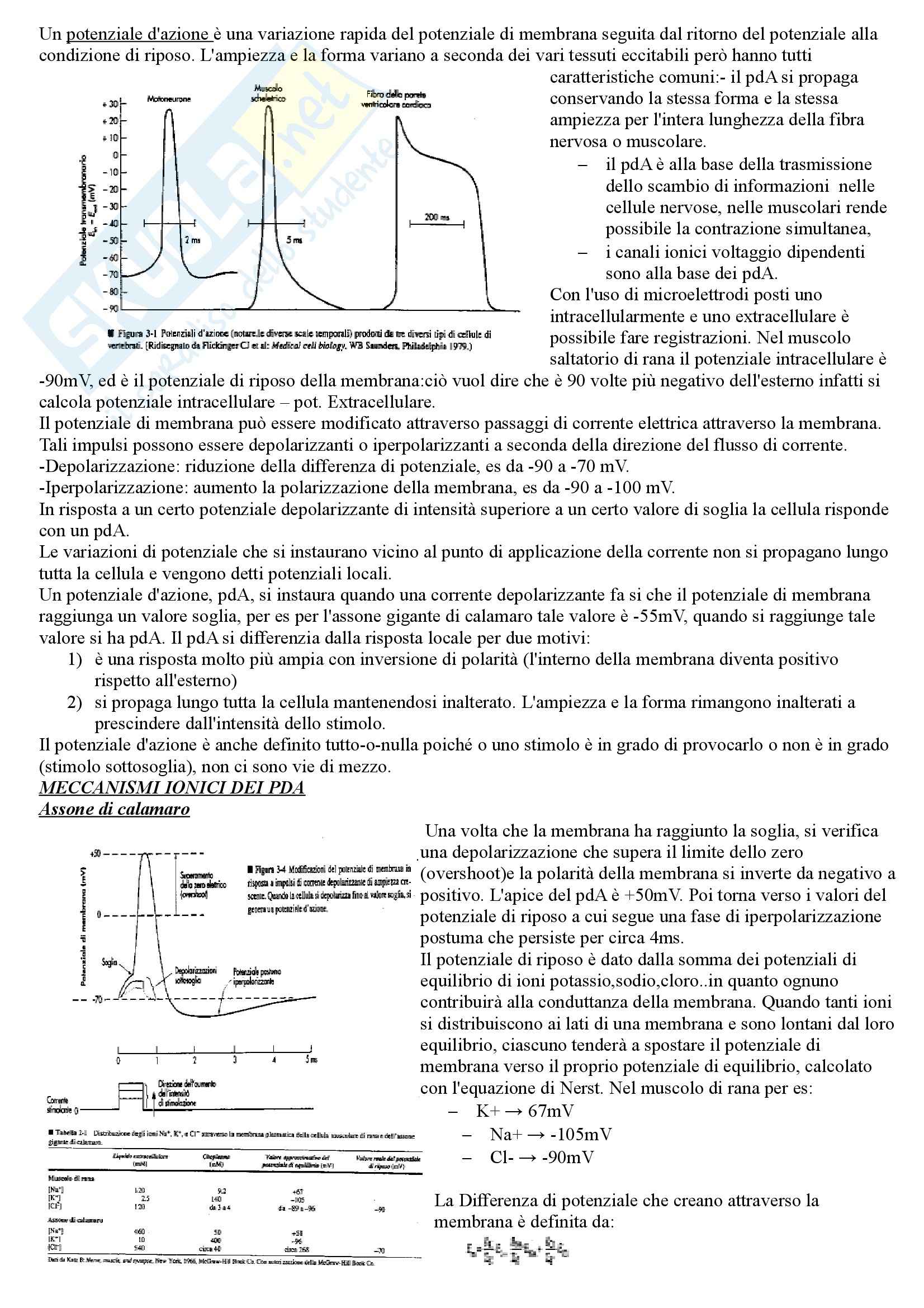 Lezioni, Fisiologia Pag. 1
