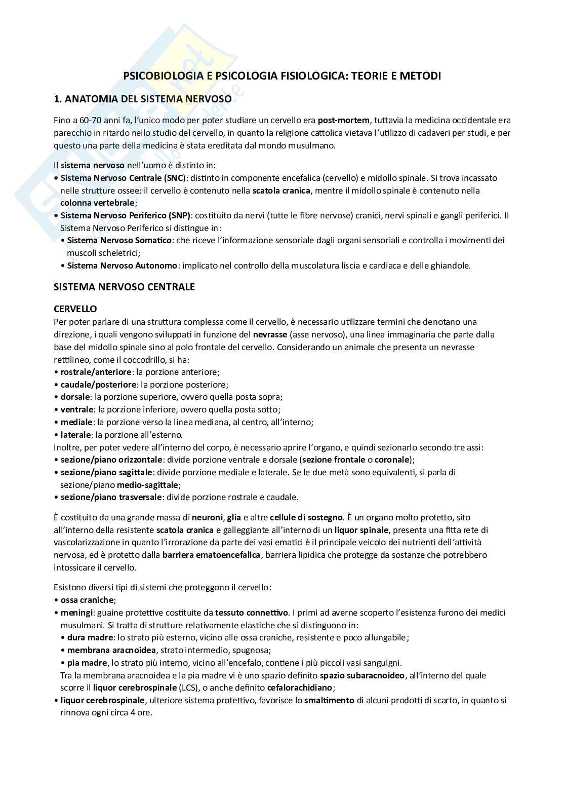 Appunti Psicobiologia e psicologia fisiologica Pag. 1