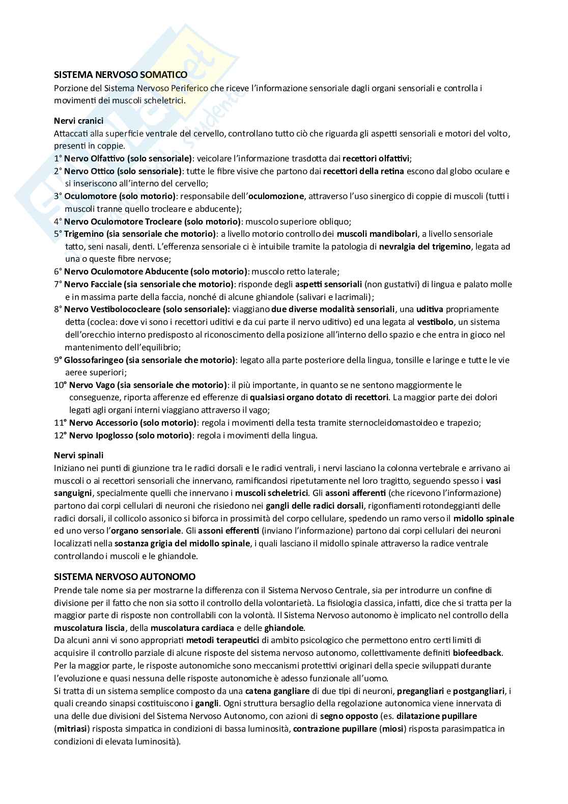 Appunti Psicobiologia e psicologia fisiologica Pag. 6