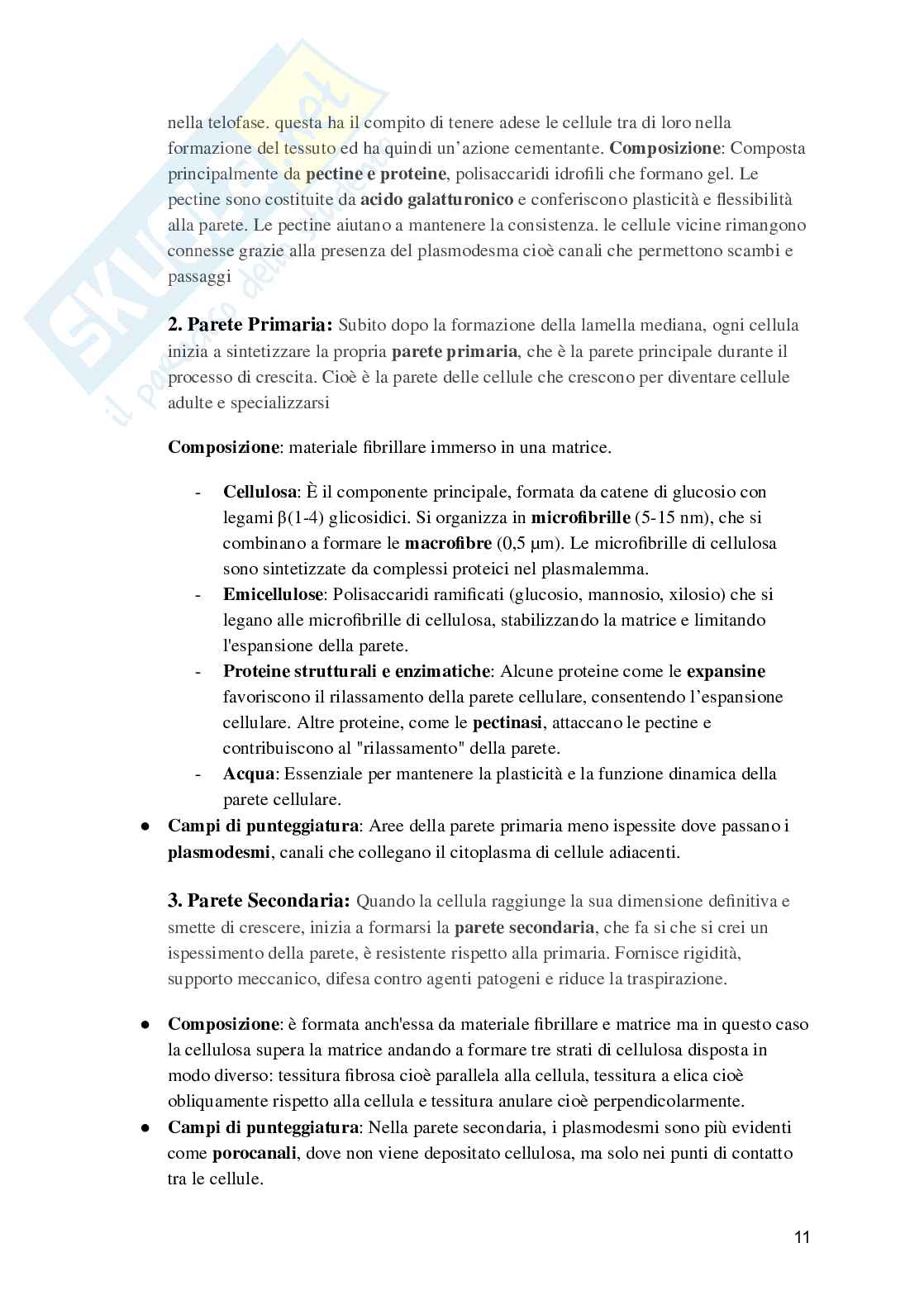 Biologia e fisiologia vegetale Pag. 11