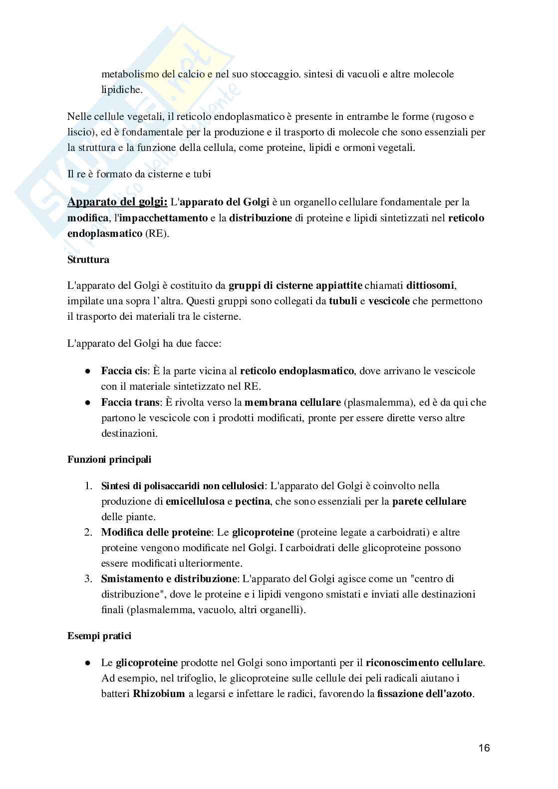 Biologia e fisiologia vegetale Pag. 16