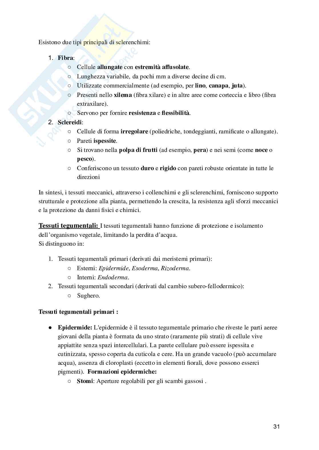Biologia e fisiologia vegetale Pag. 31