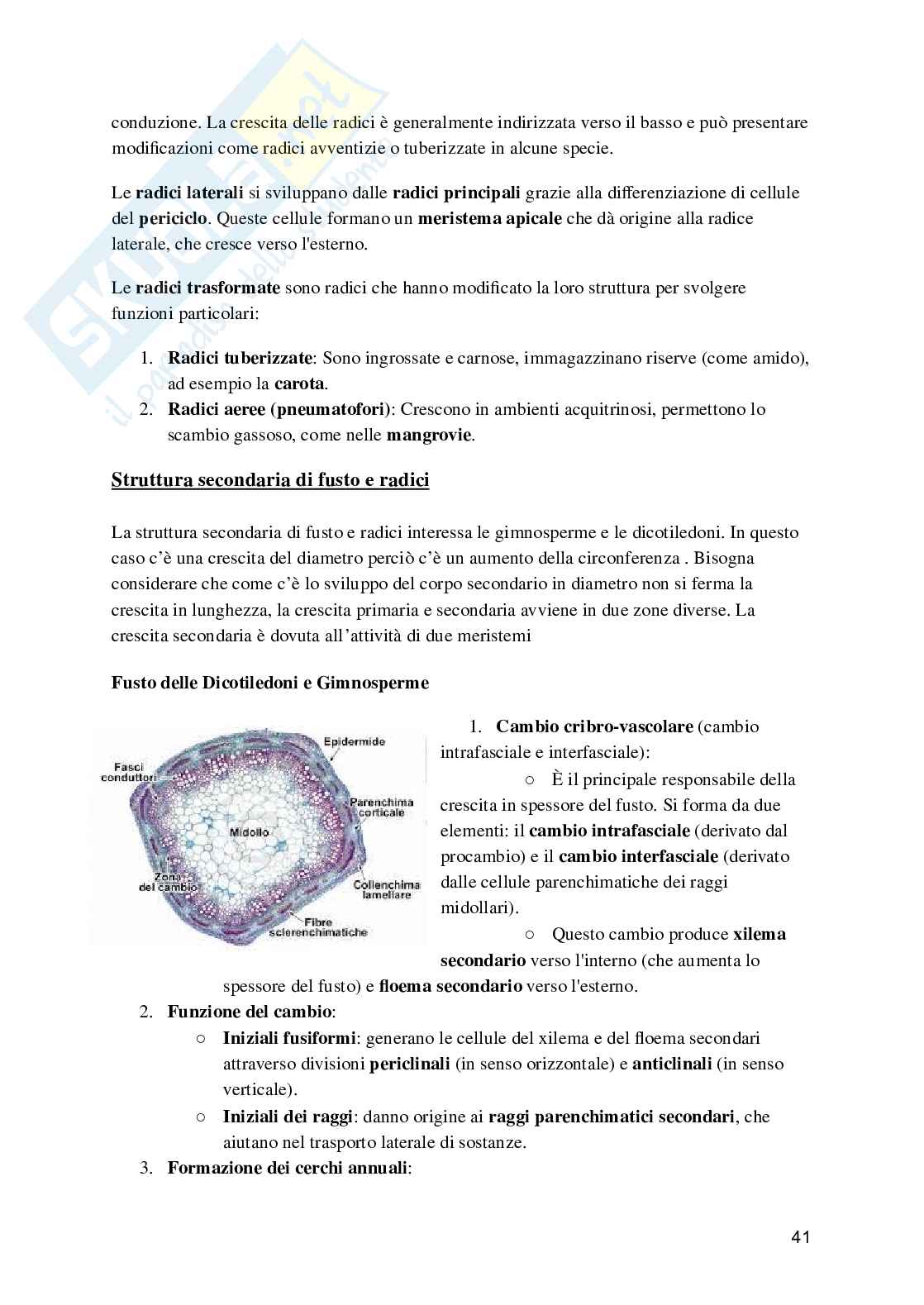 Biologia e fisiologia vegetale Pag. 41