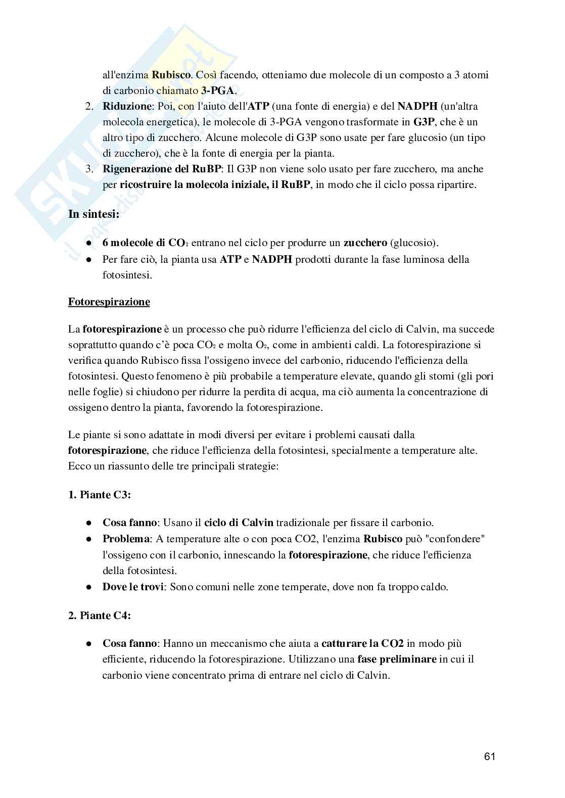 Biologia e fisiologia vegetale Pag. 61