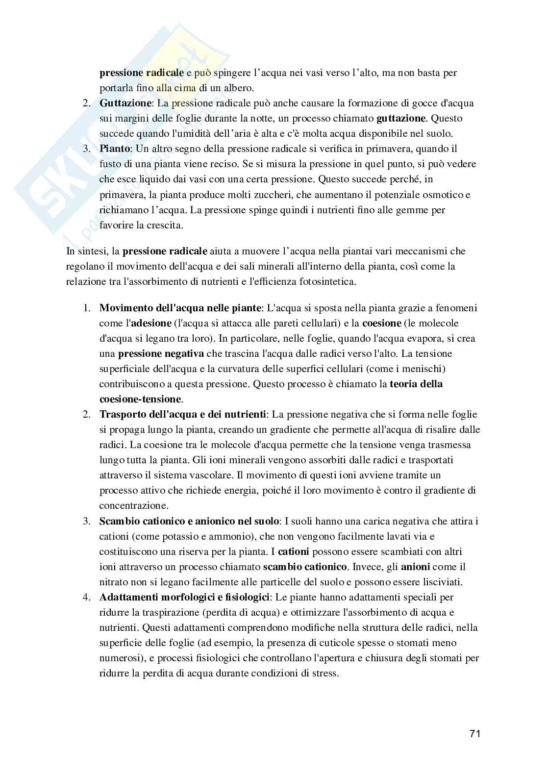 Biologia e fisiologia vegetale Pag. 71