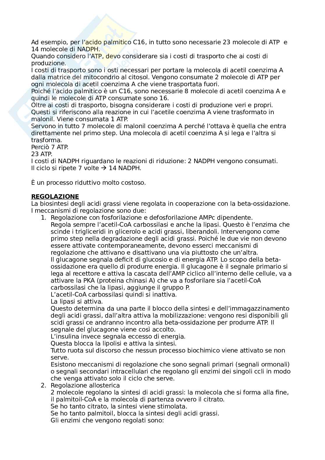 Biosintesi degli Acidi grassi Pag. 6