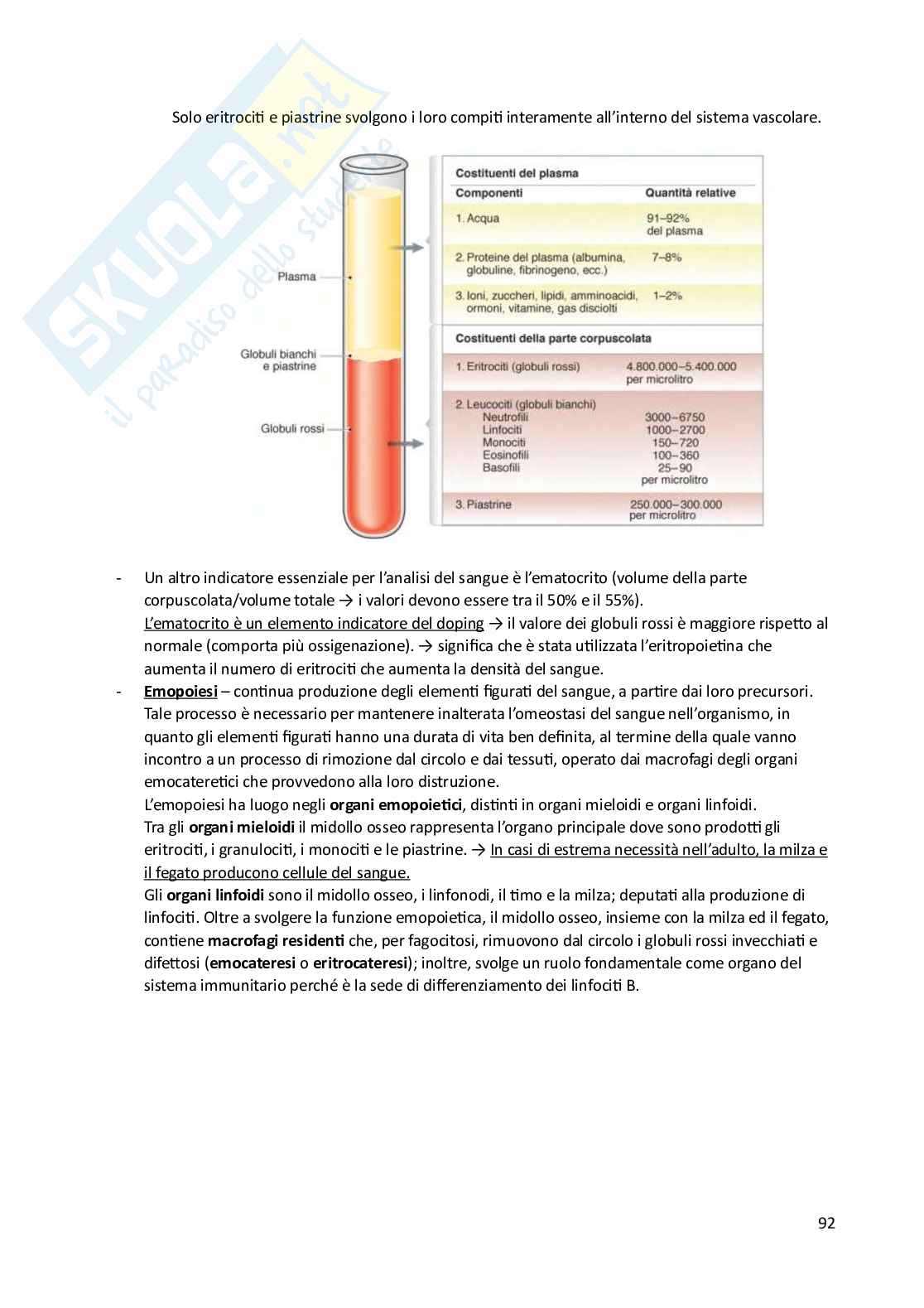 Istologia Pag. 91