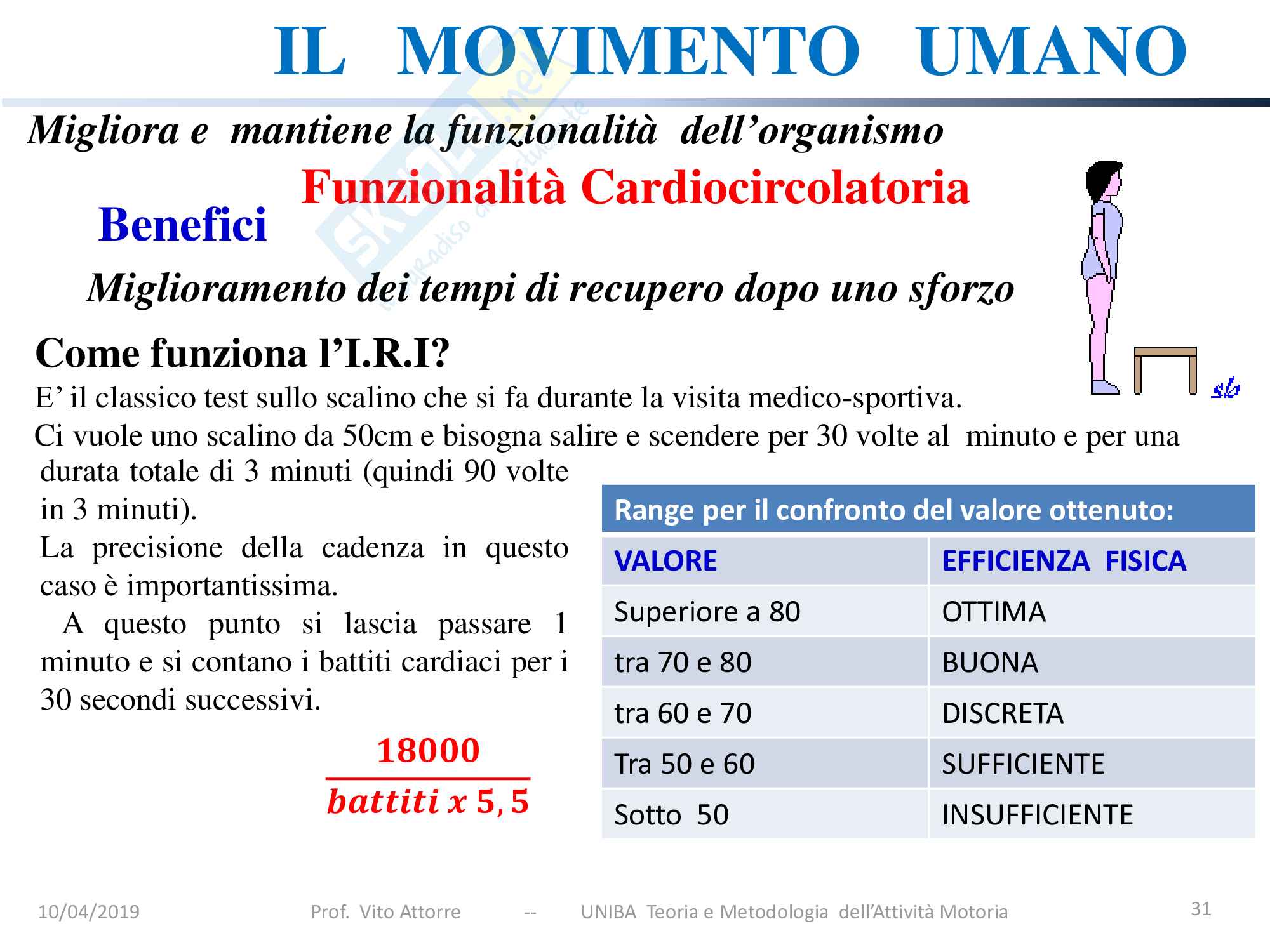 Lezione 1: Il Movimento Umano Pag. 31