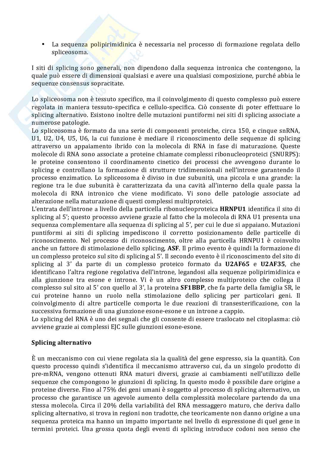 Riassunto esame Biologia e biologia molecolare, Prof. Rimini Carlo Pirro, libro consigliato Biologia molecolare , Alberts  Pag. 6