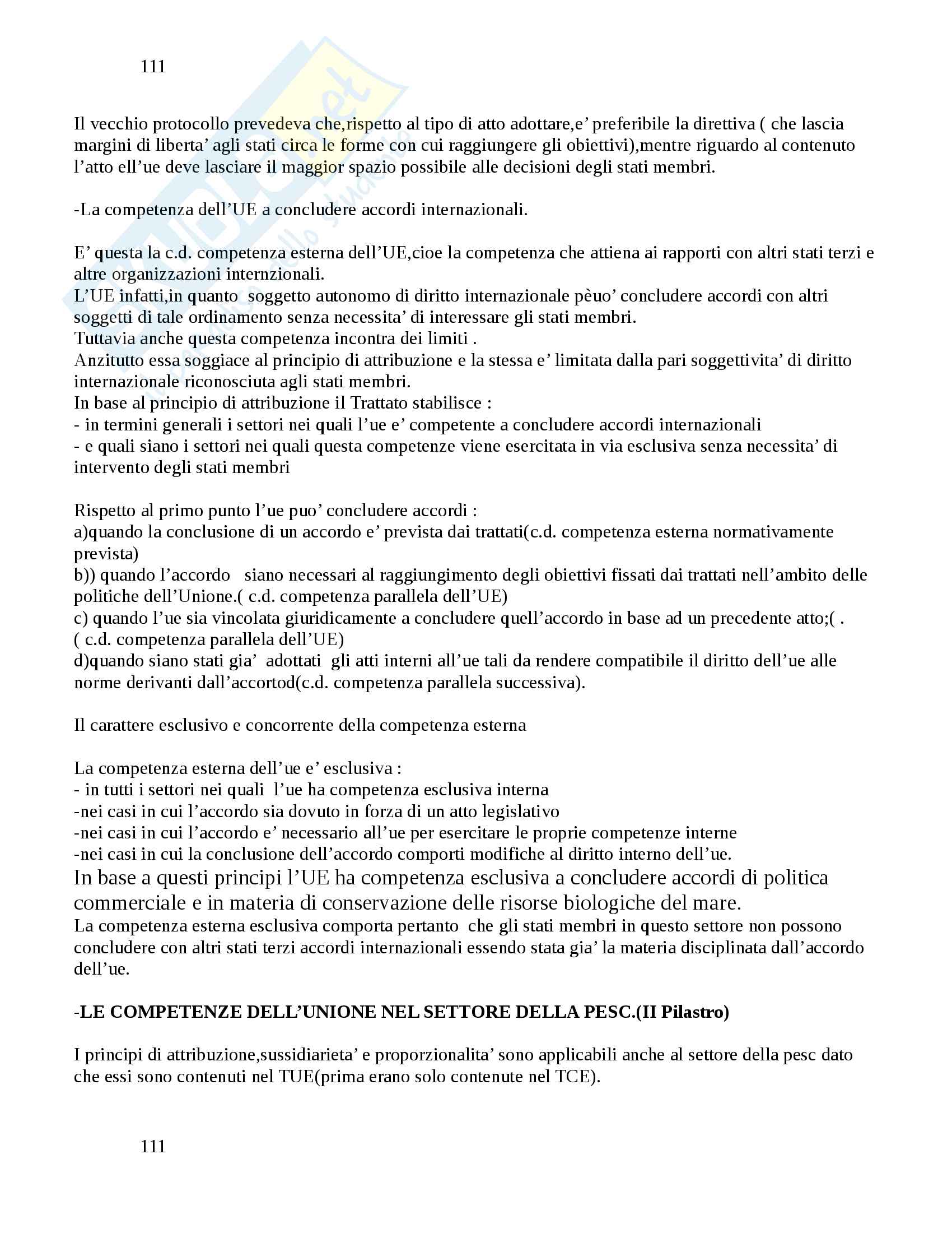 Diritto dell'UE Pag. 111